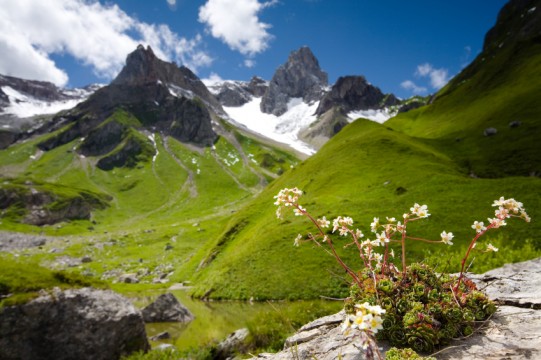Die frische und klare Luft am Alpenrand eignet sich ideal für einen Kuraufenthalt.
