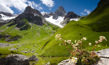 Chronische Atemwegserkrankung: Formen und Therapie