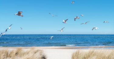 Meeresstrand und Gesundheit