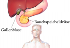 Bauchspeicheldrüse