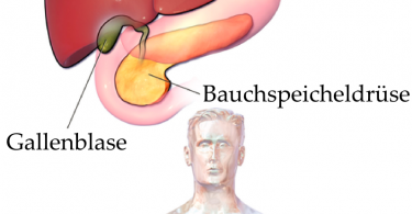 Bauchspeicheldrüse