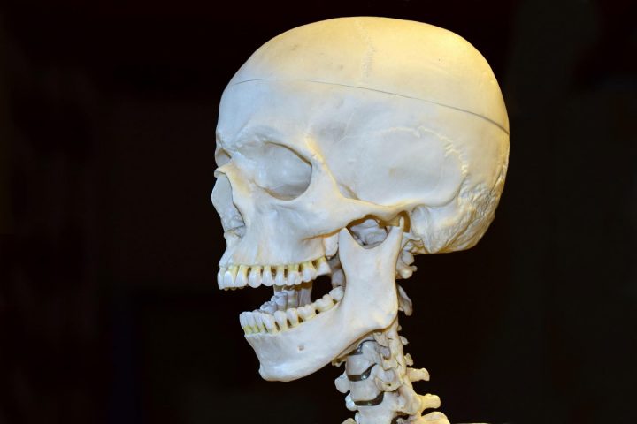Für die Kraniosakraltherapie wird der Schädel ganz genau abgetastet.