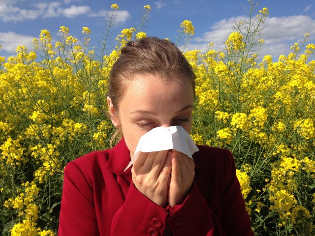 Pollenallergie / Blütenallergie