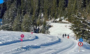 Skilanglauf als gesunder Ganzkörpersport