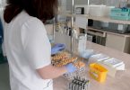 Labor-Handschuhe