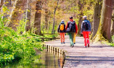 Bewegung und Demenz: Regelmäßige körperliche Aktivität gegen den geistigen Abbau