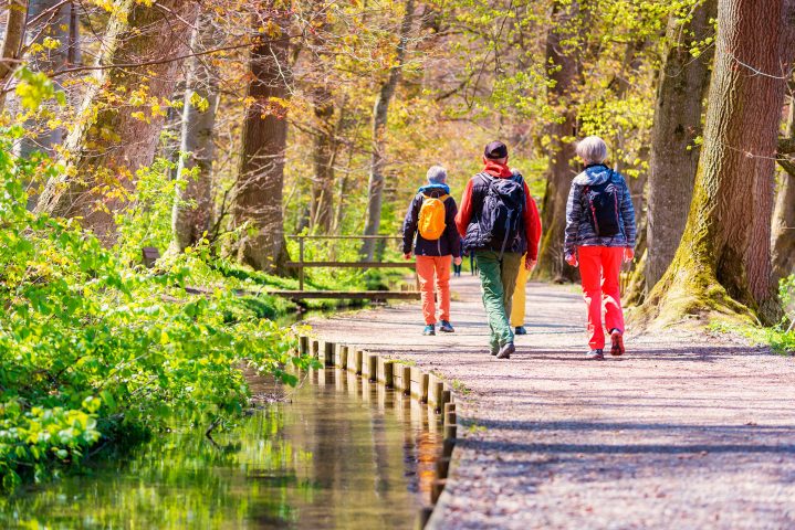 Bewegung gegen Demenz