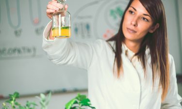 Von Baldrian bis Cannabis: Welche pflanzlichen Mittel helfen bei Stress und Schmerzen?