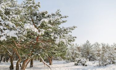 Gesundheitsvorbeugung durch Abhärtung