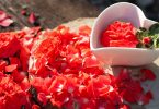 Rote Rosenblüten und eine herzförmige weiße Schale auf einer Holzscheibe