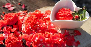 Rote Rosenblüten und eine herzförmige weiße Schale auf einer Holzscheibe
