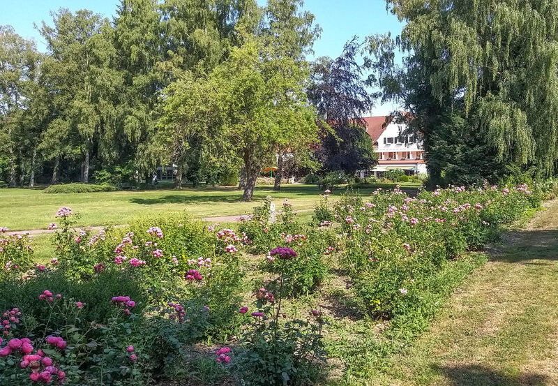 Rehaklinik Holsing Vital - Fachklinik f&uuml;r Orthop&auml;die, VoR und MBOR  in Preu&szlig;isch Oldendorf - Bad Holzhausen