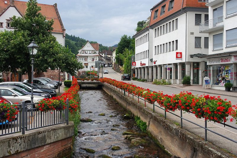 Der Fluss Alb in Bad Herrenalb, Baden-W&uuml;rttemberg, Deutschland